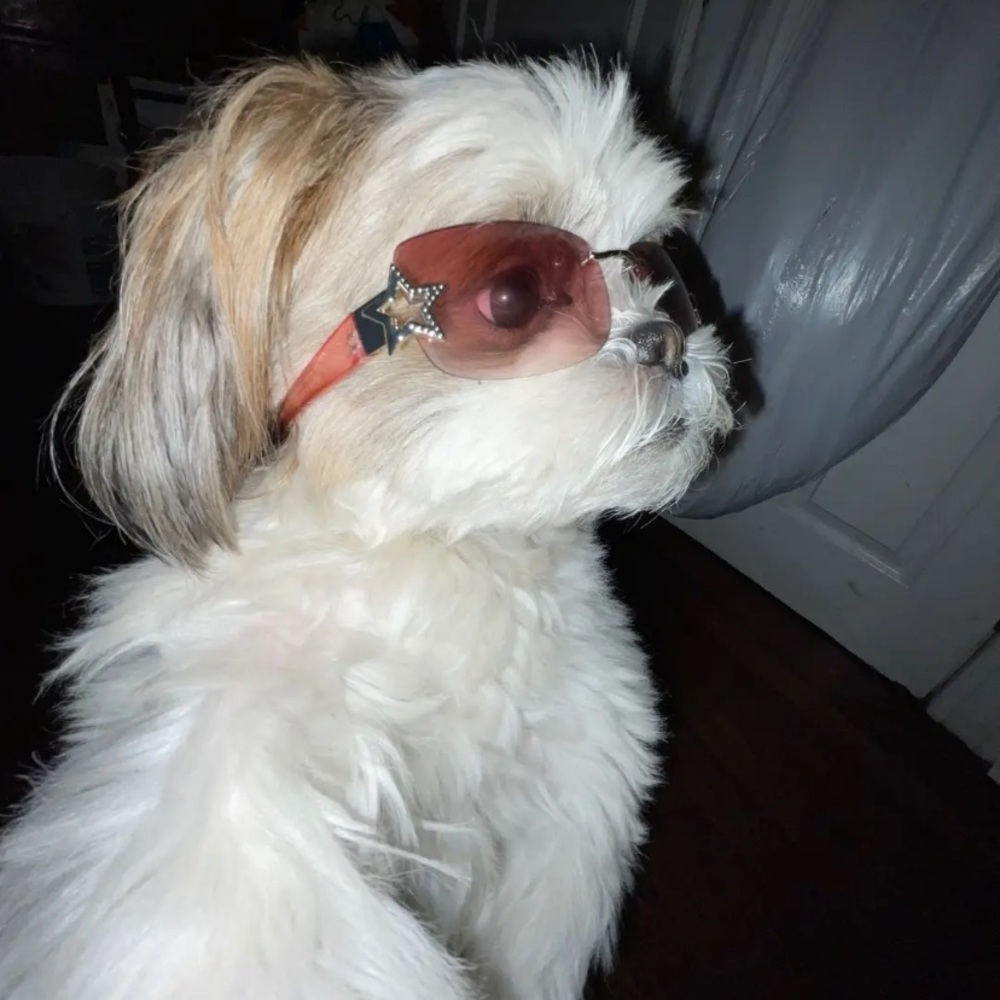 Meet your Posher, Dolores